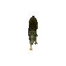 狼